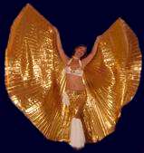 Orientalischer Tanz, Bauchtanz in Sachsen - Chemnitz, Weihnachtsengel